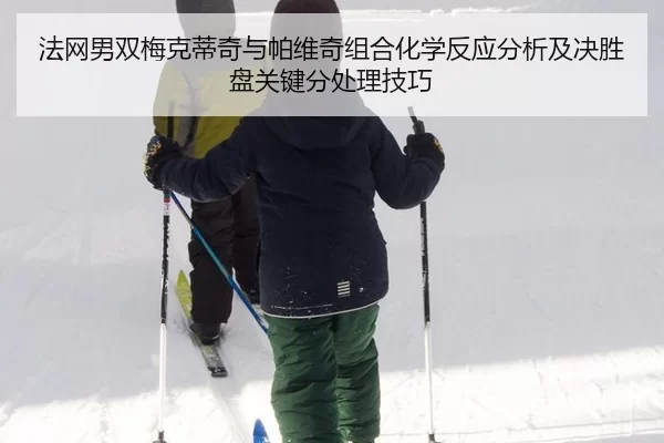 fa-wang-nan-shuang-mei-ke-di-qi-yu-pa-wei-qi-zu-he-hua-xue-fan-ying-fen-xi-ji-jue-sheng-pan-guan-jian-fen-chu-li-ji-qiao-2-360.jpg